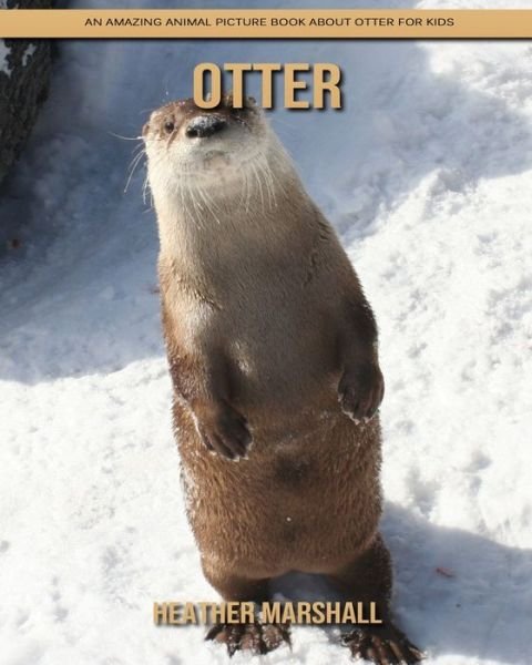 Cover for Heather Marshall · Otter: An Amazing Animal Picture Book about Otter for Kids (Paperback Book) (2021)