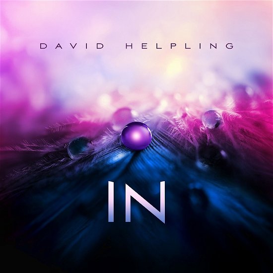 Cover for David Helpling · In (LP) (2022)