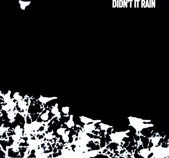 Cover for Songs: Ohia · Didn't It Rain (LP) (2002)