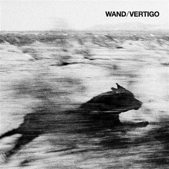 Wand · Vertigo (LP) (2024)