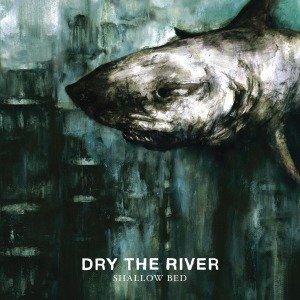 Cover for Dry the River · Shallow Bed (LP) [Limited edition] (2012)