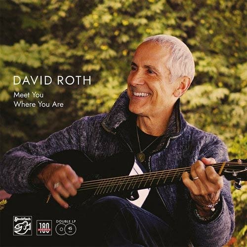 Cover for David Roth · Meet Me Where You Are (LP)