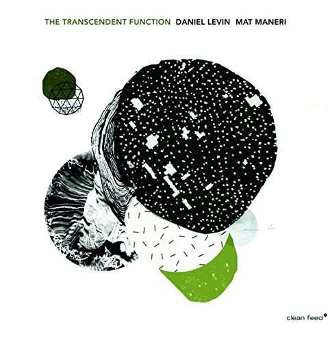 Cover for Levin, Daniel &amp; Mat Maner · Transcendent Function (CD) (2015)