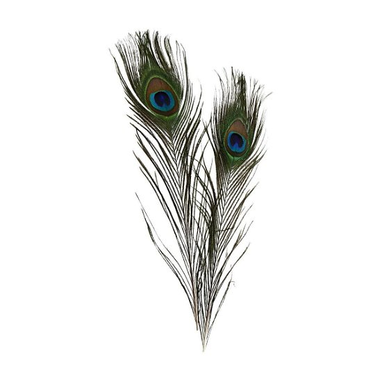 Cover for Diy Kit · Peacock Feathers 10pc (51810) (Toys)