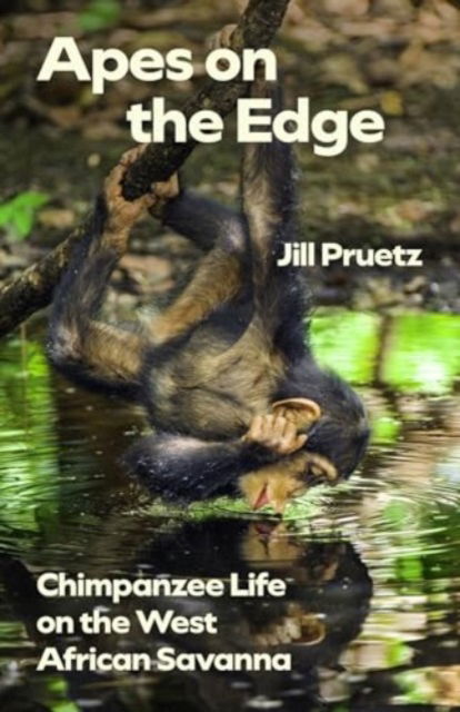Cover for Jill Pruetz · Apes on the Edge: Chimpanzee Life on the West African Savanna - Animal Lives (Paperback Book) (2025)