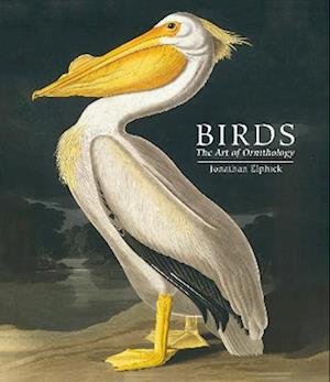 Cover for Jonathan Elphick · Birds: The Art of Ornithology (Hardcover bog) [Pocket edition] (2023)