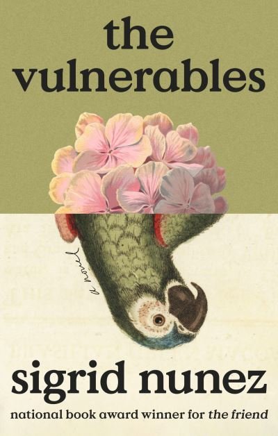Cover for Sigrid Nunez · The Vulnerables (Bok) (2023)