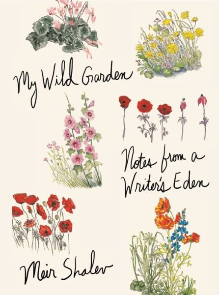 My Wild Garden: Notes from a Writer's Eden - Meir Shalev - Livres - Knopf Doubleday Publishing Group - 9780805243512 - 31 mars 2020