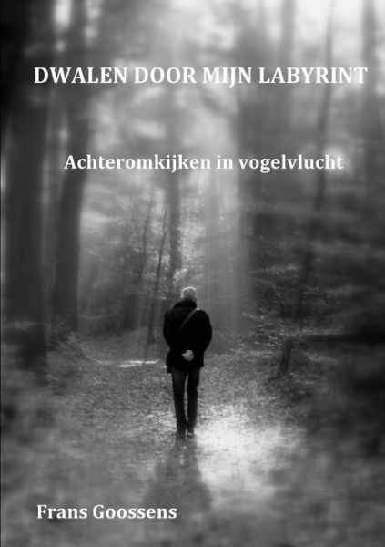 Cover for Frans Goossens · Dwalen Door Mijn Labyrint (Paperback Book) [Dutch edition] (2014)