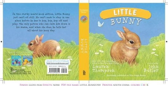 Cover for Lauren Thompson · Little Bunny (Board book) (2013)