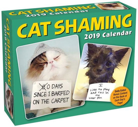 Kal. Andrade:Cat Shaming 2019 Day-to-Da - Pedro Andrade - Books - Andrews McMeel Publishing - 9781449491512 - September 1, 2018