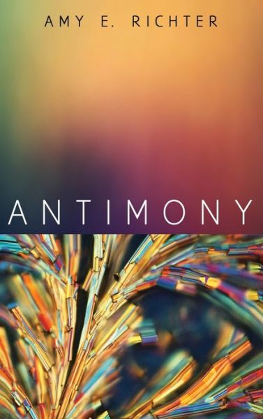Cover for Amy E Richter · Antimony (Hardcover Book) (2019)