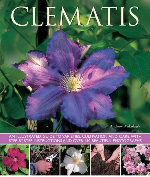 Cover for Andrew Mikolajski · Clematis (Paperback Book) (2013)