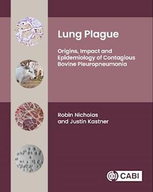 Cover for Nicholas, Dr Robin (Consultant, Consultant, UK) · Lung Plague: Origins, Impact and Epidemiology of Contagious Bovine Pleuropneumonia (Hardcover bog) (2025)