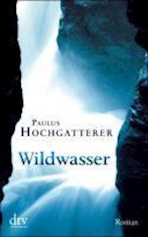 Cover for Paulus Hochgatterer · Dtv Tb.21151 Hochgatterer.wildwasser (Book)