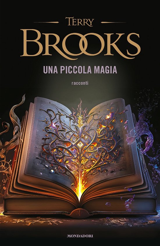Cover for Terry Brooks · Una Piccola Magia (Book)