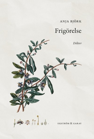 Frigörelse - Anja Björk - Books - Ekström & Garay - 9789189474512 - December 17, 2021