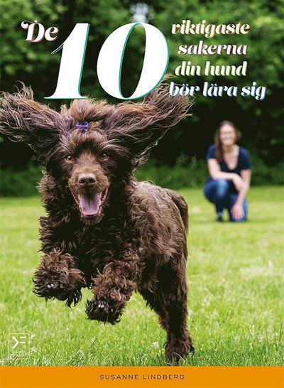 Cover for Susanne Lindberg · De 10 viktigaste sakerna din hund bör lära sig (PDF) (2016)