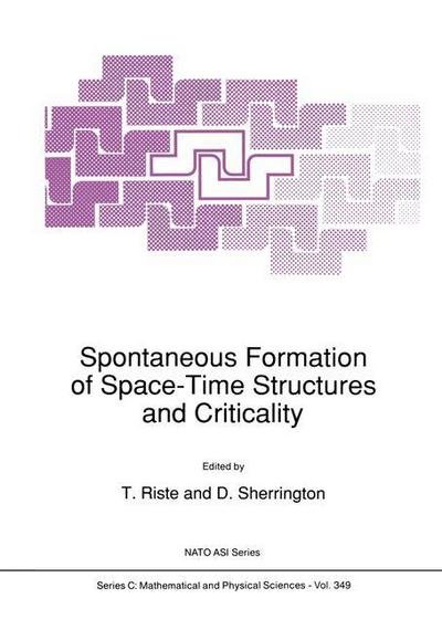 Cover for T Riste · Spontaneous Formation of Space-Time Structures and Criticality - NATO Science Series C (Paperback Book) [Softcover reprint of the original 1st ed. 1991 edition] (2012)