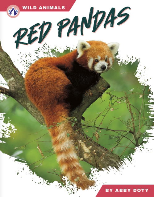 Cover for Abby Doty · Red Pandas - Wild Animals Set 2 (Hardcover Book) (2025)