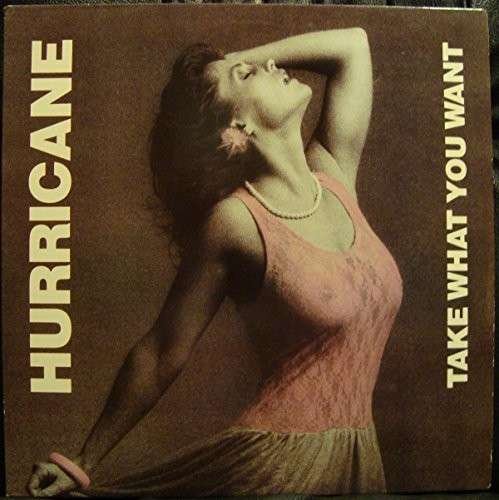 Cover for Hurricane · Take What You Want (LP) [EP edition] (2015)