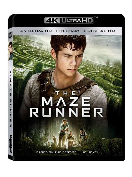 Cover for Maze Runner (Blu-ray) (2016)
