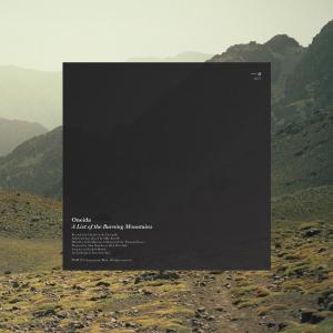 Cover for Oneida · List Of The Burning Mountains (LP) [Standard edition] (2012)