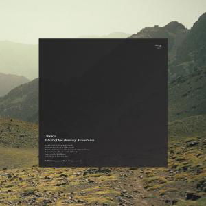 A List Of The Burning Mountain - Oneida - Musiikki - JAGJAGUWAR - 0656605223513 - torstai 8. marraskuuta 2012