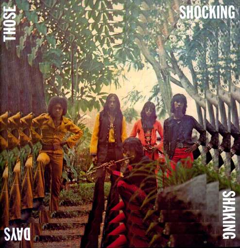 Cover for Those Shocking Shaking Days (LP) (2018)