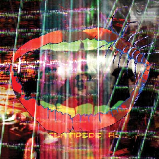 Cover for Animal Collective · Centipede Hz (LP) [Limited Edition edition] (2012)
