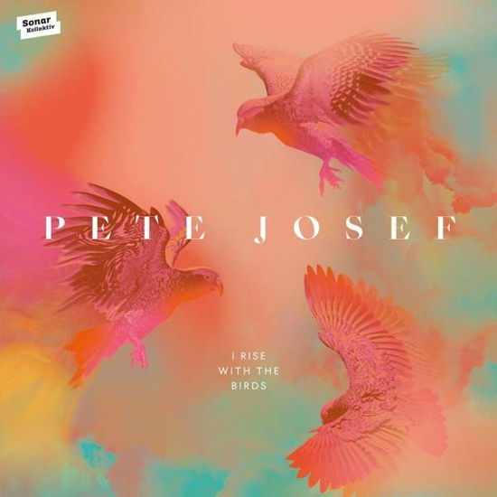 I Rise With The Birds - Pete Josef - Muzyka - SONAR KOLLEKTIV - 0821730037513 - 13 listopada 2020