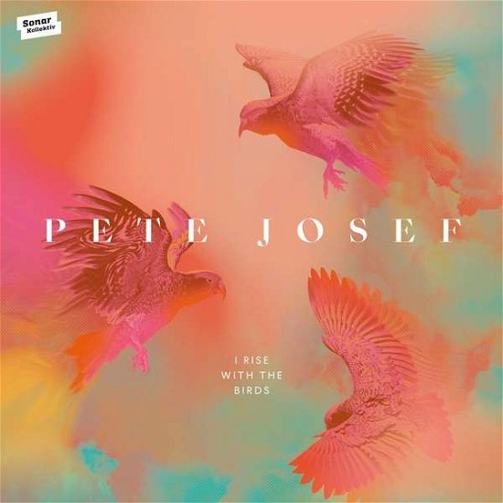 Pete Josef · I Rise With The Birds (LP) (2020)