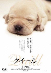 Kobayashi Kaoru · Quill (MDVD) [Japan Import edition] (2014)