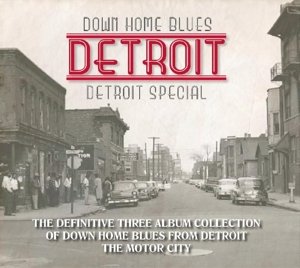 Down Home Blues Detroit (3cd+bok) - Down Home Blues: Detroit / Various - Music - Wienerworld - 5018755509513 - July 22, 2016