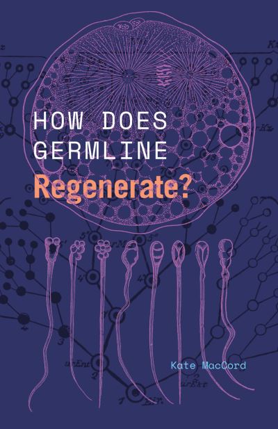 Cover for Kate MacCord · How Does Germline Regenerate? - Convening Science: Discovery at the Marine Biological Laboratory (Paperback Book) (2024)