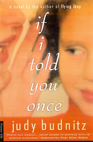 If I Told You Once: a Novel - Judy Budnitz - Books - Picador - 9780312267513 - November 4, 2000