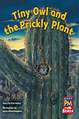 Tiny Owl and the Prickly Plant : Leveled Reader Bookroom Package Blue - Rigby - Bøger - RIGBY - 9780544026513 - 10. oktober 2012