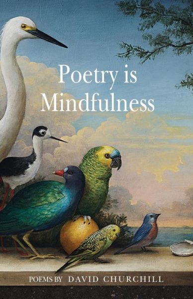 David B Churchill · Poetry is Mindfulness (Paperback Book) (2016)