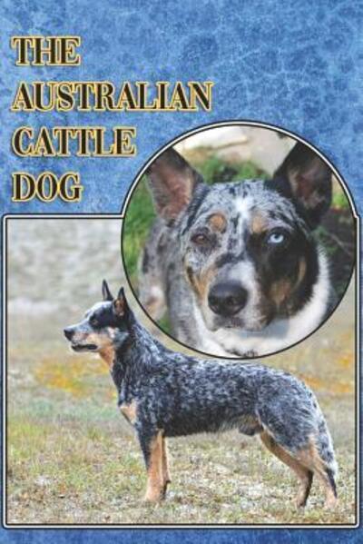 Cover for Michael Stonewood · The Australian Cattle Dog (Paperback Book) (2019)