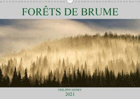 Cover for Henry · FORÊTS DE BRUME (Calendrier mural (Book)