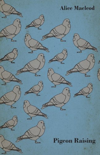 Cover for Alice Macleod · Pigeon Raising (Paperback Book) (2008)
