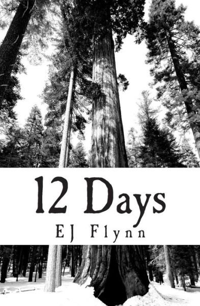 Cover for Ej Flynn · Twelve Days (Paperback Bog) (2012)