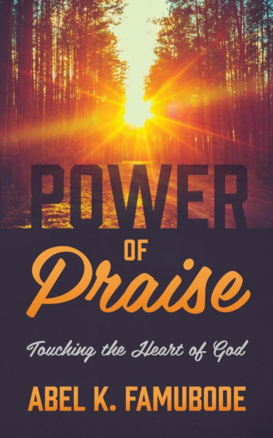 Cover for Abel K Famubode · Power of Praise: Touching the Heart of God (Paperback Book) (2016)