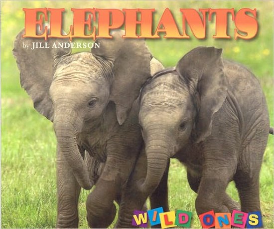 Cover for Jill Anderson · Elephants - Wild Ones (Pocketbok) (2006)