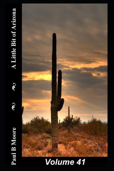 Cover for Paul Moore · A Little Bit of Arizona (Paperback Book) (2018)