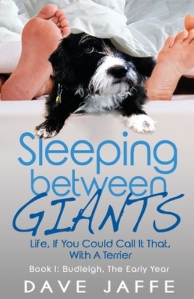 Cover for Dave Jaffe · Sleeping between Giants (Paperback Book) (2019)