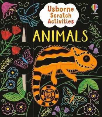 Cover for Rosie Dickins · Usborne Scratch Activities Animals - Usborne Scratch Activities (Paperback Book) (2025)