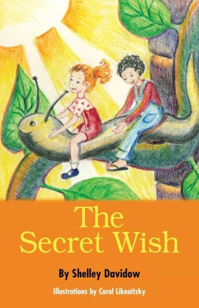 Cover for Shelley Davidow · The Secret Wish (Paperback Book) (2014)