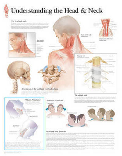 Cover for Scientific Publishing · Understanding the Head &amp; Neck (Plakat) (2015)