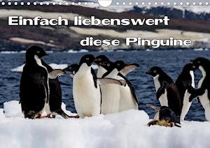 Cover for Baumert · Einfach liebenswert diese Pingu (Book)